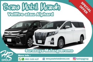Rental Mobil alphard / vellfire Pasuruan Malang dan Surabaya Murah Terbaik